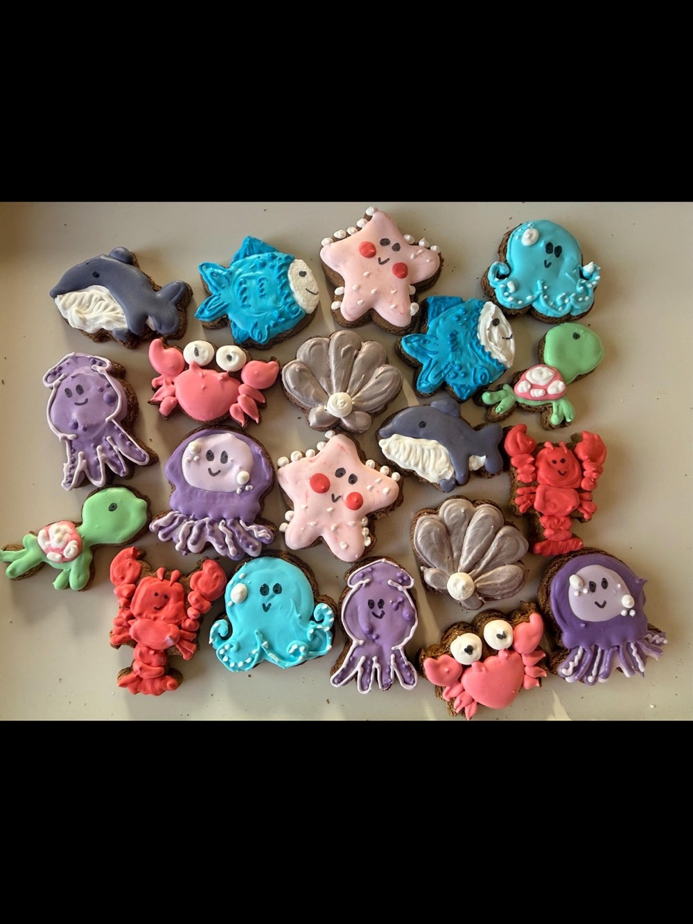 Round Two Gourmet Horse Treats